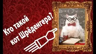 Кто такой кот Шрёдингера?