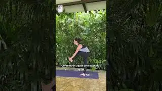 Protect Your BACK: Master Standing Head to Knee in Hot Yoga