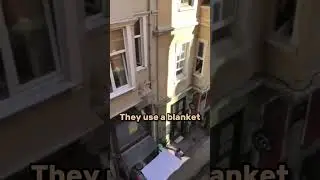 People gathered together rescuing this dog... 😮