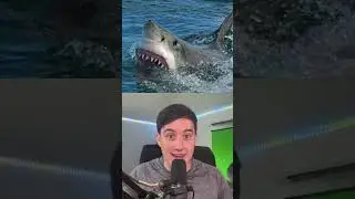 DO SHARKS ACTUALLY WANT TO EAT US? #Shorts