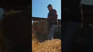 Как вам наши эко скамейки ? 😅