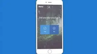 Customer Surveys