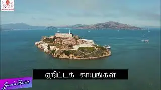 Dheivattu Kuttikku|தெய்வாட்டுக்குட்டிக்கு|Crown Him with Many Crowns|Alto Note|Pamalai 134