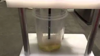 Lemon smasher