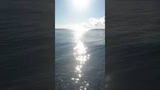 МОРЕ В ПИЦУНДЕ 