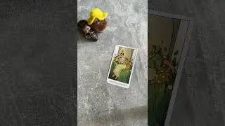 Совет дня ТАРО #гаданиеонлайн #гаданиебесплатно #тароонлайн #гаданиетаро #тарогадание