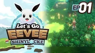 Pokemon Let's Go Eevee Shinylocke Ep. 1: The Hypest First Encounter!