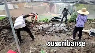 preparado de sustrato de tierra