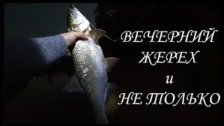 ВЕЧЕРНИЙ ЖЕРЕХ и НЕ ТОЛЬКО \ 