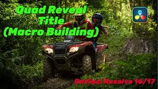 Quad Reveal Title (Macro Building) - Davinci Resolve 16/17