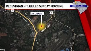 Pedestrian hit, killed by vehicle in Greenville Co.