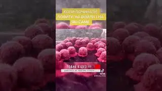 Як починати ловити на бойли 