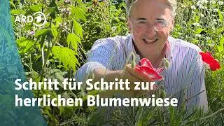Blumenwiese für einen Naturgarten anlegen - ich zeige wie's geht | Horst sein Schrebergarten | rbb