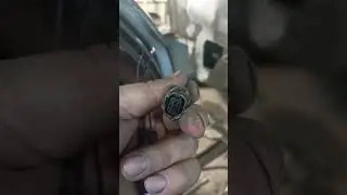 Хоть какие машина, а провода гниют везде одинаково.