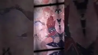 Naruto girls sing shinunoga ewa~💗#anime#naruto#kushina#hinata#sakura#ino#shorts