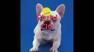 Lanzamiento #moiverano: La vida secreta de tu perro y gato
