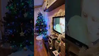 С Наступающим