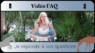 Vidéo FAQ : réponses à vos questions II