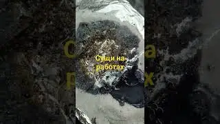 21 февраля 2024 г.