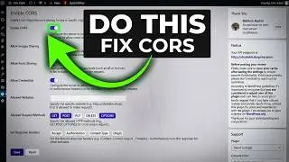 How to Enable CORS in WordPress - v1.1.9