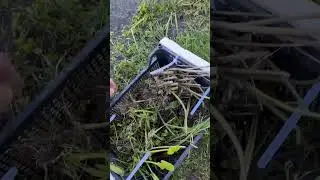 Плавучий островок с растениями для пруда