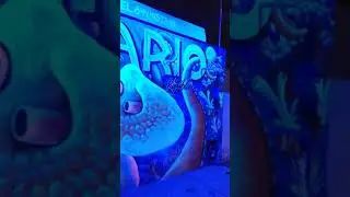 🐠 Acuario República 🐠  bonita fachada 