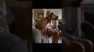 Го0ол!!!
