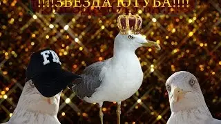 CS:GO - !!!!ЗВЕЗДА ЮТУБА!!!!