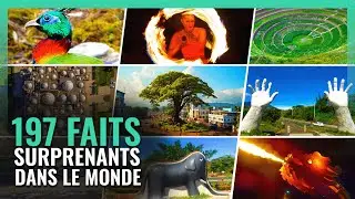 197 SURPRISING Facts about the WORLD!