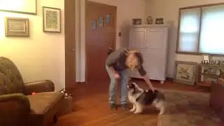 Teaching Behaviors to Use as Reinforcers with Pam Dennison