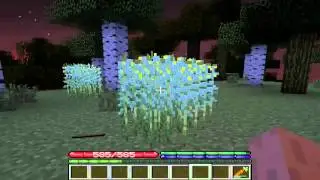 LP.Minecraft #5 - 1 Сентября