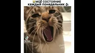 Подборка коротких смешных видео! | Засмеялся подписался | тест на психику) | #shorts #лучшиеприколы