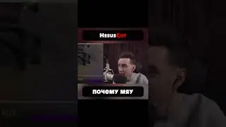 ХЕСУС: "ПОЧЕМУ КОТЫ ГОВОРЯТ МЯУ ?" #shorts