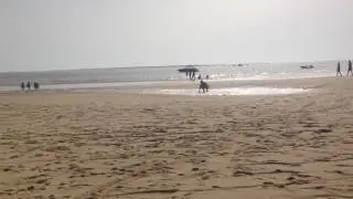 Isla de Armona