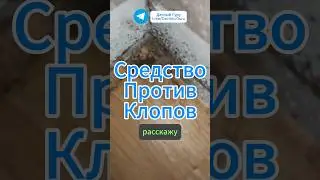 КЛОПЫ оставят Ваш дом навсегда! #клопы #вредители #насекомые #грядки #огород #дача #сад