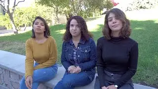 Mamíferos de Campus Sur