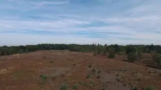 Sprenkelberg Haarle Parrot Bebob drone