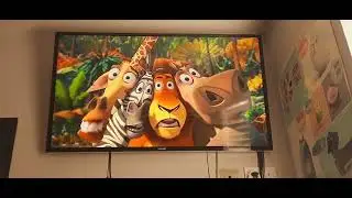 Opening to Bee Movie 2008 UK DVD