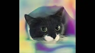Another warp image effect