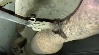 How to remove an oxygen sensor (lambda probe)