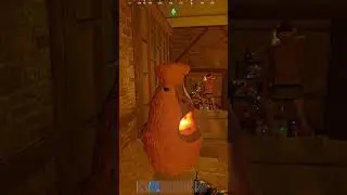 Треш стрим был у bzden в раст/rust 