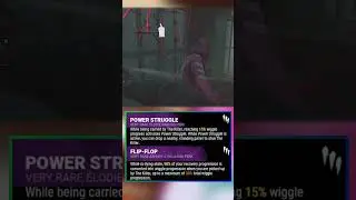 Only Pig can Counter Flip Flop Power struggle 