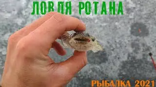 Открытие сезона  Ловля ротана  Рыбалка 2021