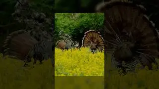 I Cant Believe I Missed! 😑 At least it was in epic slow motion 😂😂
