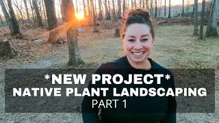 Would you like to hear about my new landscaping project using native plants?