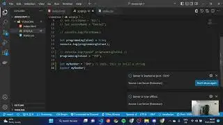 javascript #4:  Dynamic typing in Javascript and more insights on const and let