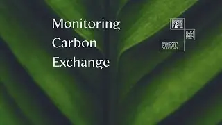 Monitoring Carbon Exchange