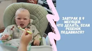 Подавилась во время кормления, что делать? #прикорм #декрет
