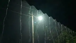 Midnight Rain (Original Sound)