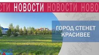 Губкинцы выбрали объект благоустройства следующего года